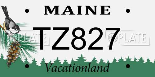 TZ827 Maine License Plate
