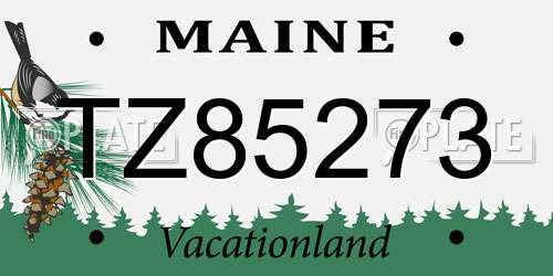 TZ85273 Maine License Plate