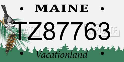 TZ87763 Maine License Plate