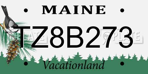 TZ8B273 Maine License Plate
