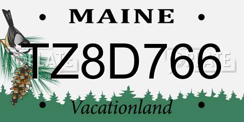 TZ8D766 Maine License Plate