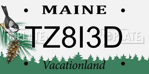 TZ8I3D Maine License Plate