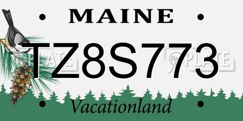 TZ8S773 Maine License Plate
