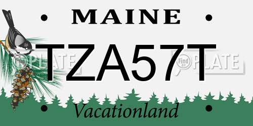 TZA57T Maine License Plate