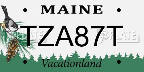 TZA87T Maine License Plate
