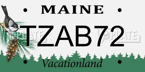 TZAB72 Maine License Plate
