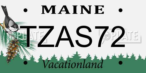 TZAS72 Maine License Plate
