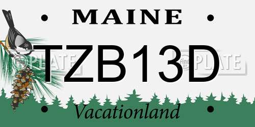 TZB13D Maine License Plate