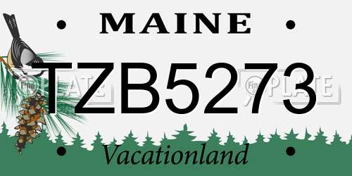 TZB5273 Maine License Plate