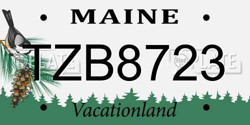 TZB8723 Maine License Plate