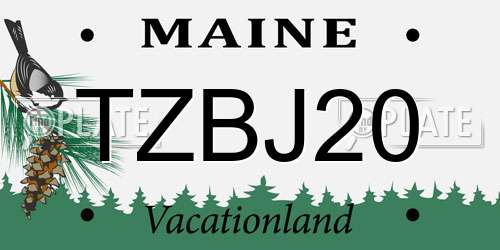TZBJ20 Maine License Plate