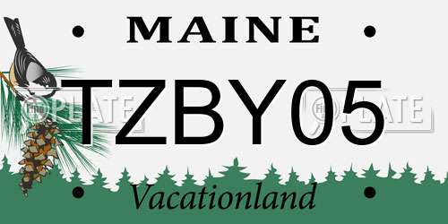 TZBY05 Maine License Plate