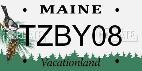 TZBY08 Maine License Plate