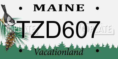 TZD607 Maine License Plate