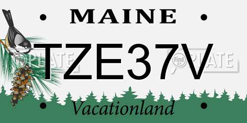 TZE37V Maine License Plate