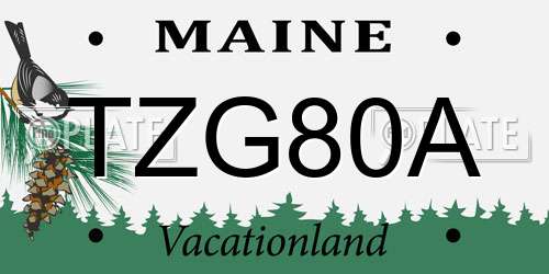 TZG80A Maine License Plate