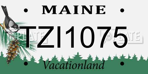 TZI1075 Maine License Plate