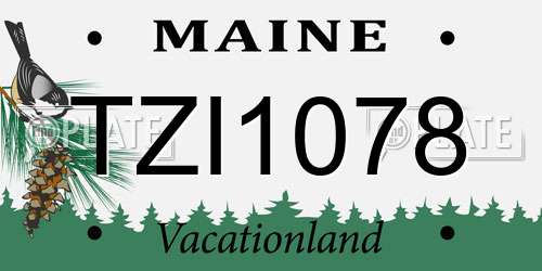 TZI1078 Maine License Plate