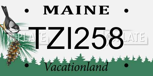 TZI258 Maine License Plate