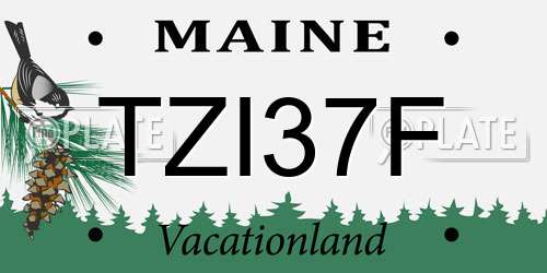 TZI37F Maine License Plate