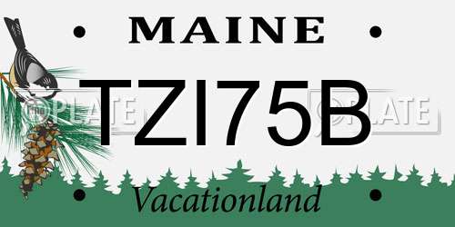 TZI75B Maine License Plate