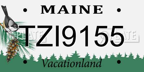 TZI9155 Maine License Plate