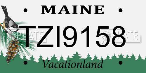 TZI9158 Maine License Plate