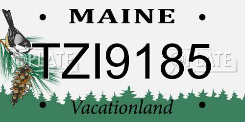TZI9185 Maine License Plate