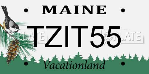 TZIT55 Maine License Plate