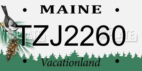 TZJ2260 Maine License Plate