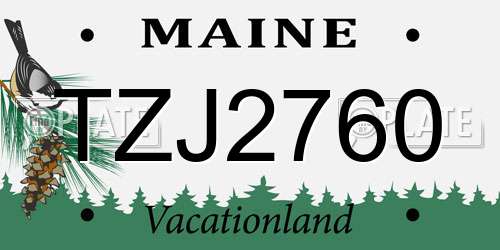 TZJ2760 Maine License Plate