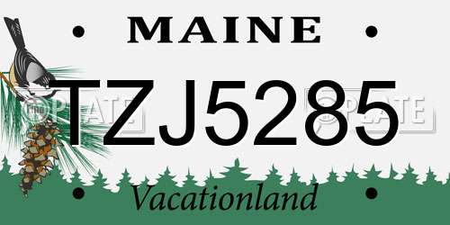 TZJ5285 Maine License Plate
