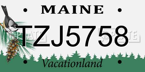 TZJ5758 Maine License Plate