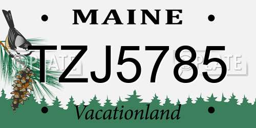TZJ5785 Maine License Plate