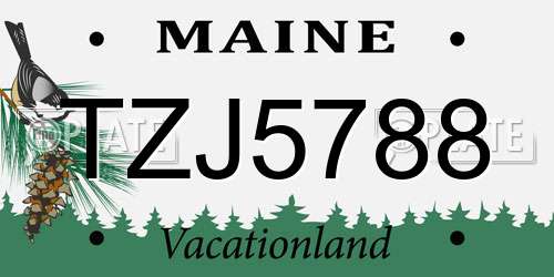 TZJ5788 Maine License Plate
