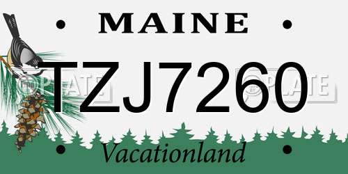 TZJ7260 Maine License Plate