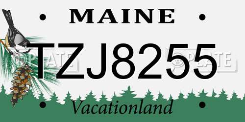 TZJ8255 Maine License Plate