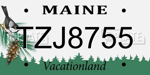 TZJ8755 Maine License Plate