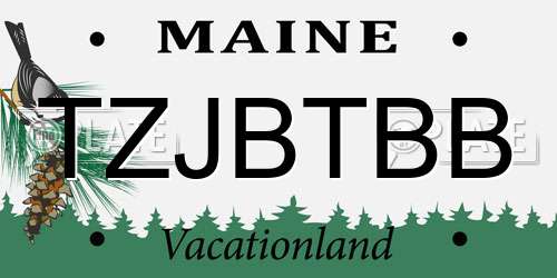 TZJBTBB Maine License Plate