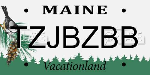TZJBZBB Maine License Plate