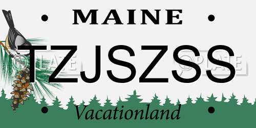 TZJSZSS Maine License Plate