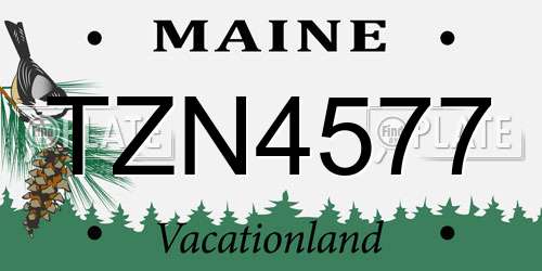 TZN4577 Maine License Plate