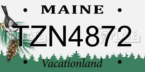 TZN4872 Maine License Plate