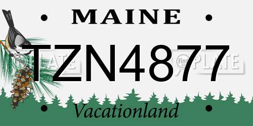TZN4877 Maine License Plate