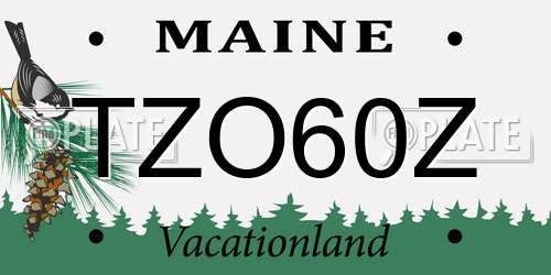 TZO60Z Maine License Plate