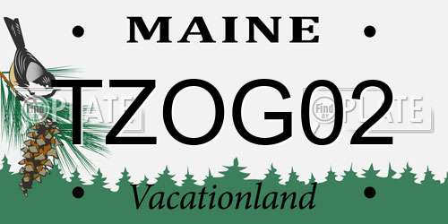 TZOG02 Maine License Plate