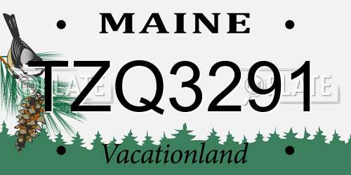 TZQ3291 Maine License Plate