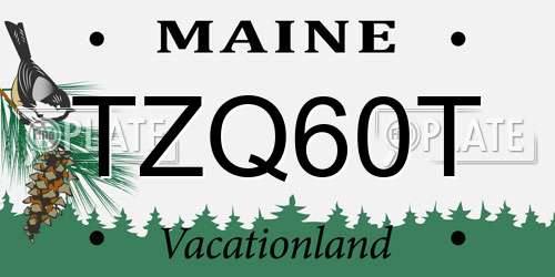 TZQ60T Maine License Plate