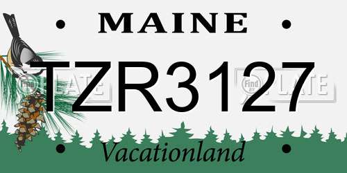 TZR3127 Maine License Plate