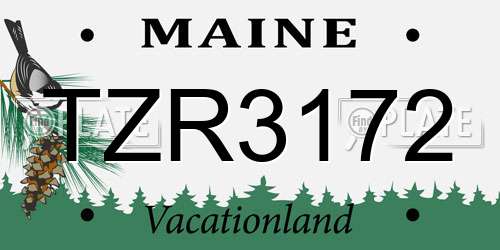 TZR3172 Maine License Plate